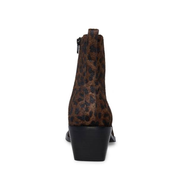 Steve Madden Richie Leopard Stövlar Herr Leopard | SM-794HO