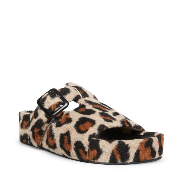 Steve Madden Rizzle Leopard Tofflor Dam Leopard | SM-670AT