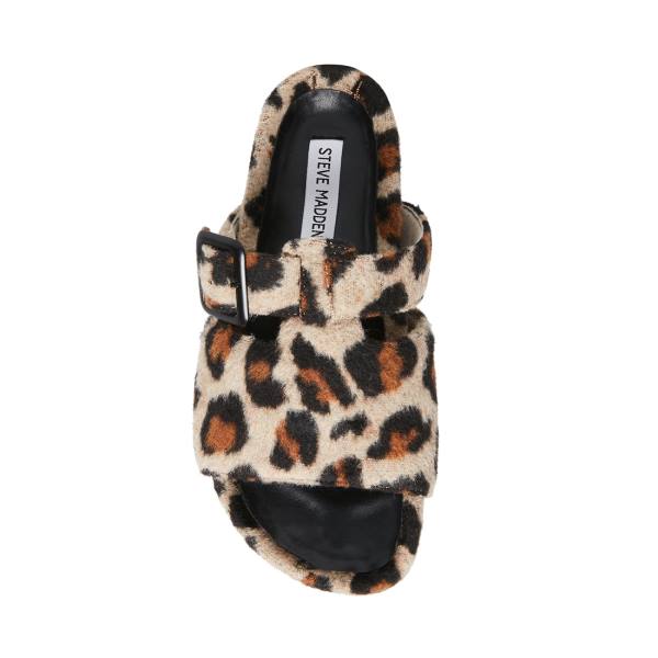 Steve Madden Rizzle Leopard Tofflor Dam Leopard | SM-670AT