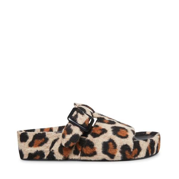 Steve Madden Rizzle Leopard Tofflor Dam Leopard | SM-670AT