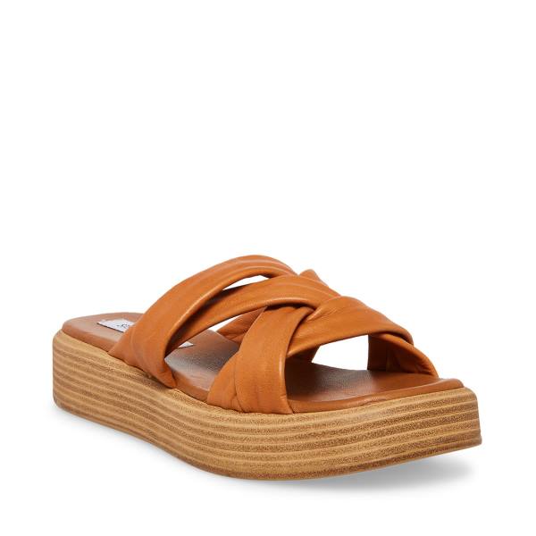 Steve Madden Salita Tan Läder Sandaler Dam Bruna | SM-397GM