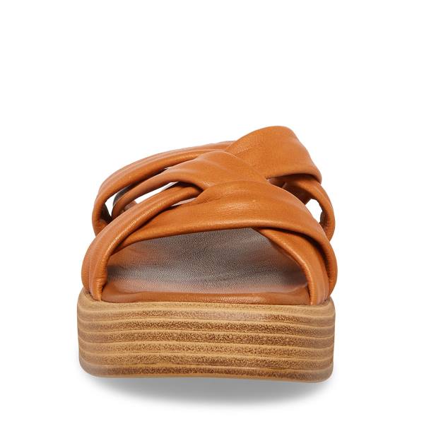 Steve Madden Salita Tan Läder Sandaler Dam Bruna | SM-397GM