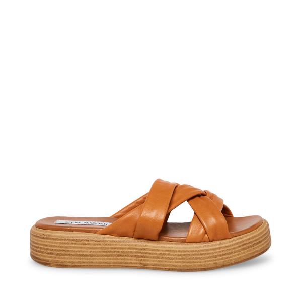 Steve Madden Salita Tan Läder Sandaler Dam Bruna | SM-397GM