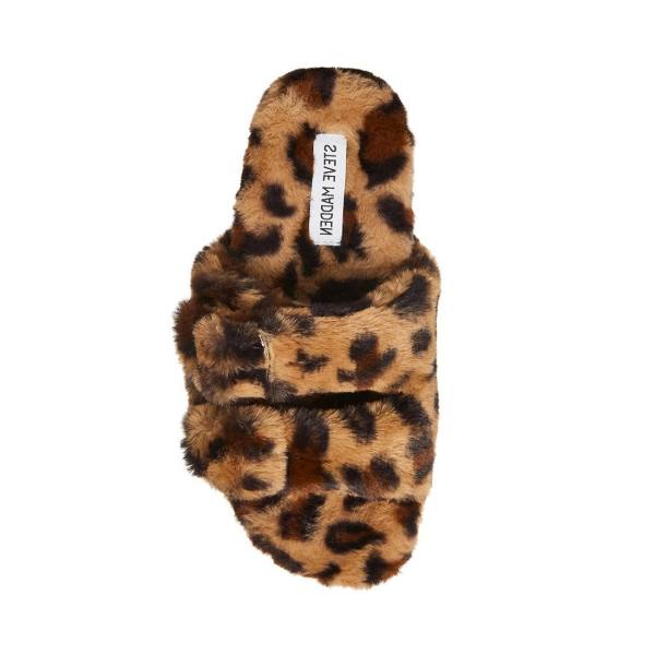 Steve Madden Staycation Leopard Tofflor Dam Leopard | SM-534UW