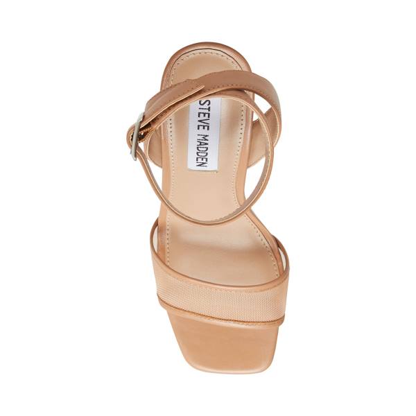 Steve Madden Strategy Blush Läder Heel Högklackade Skor Dam Rosa | SM-537DS