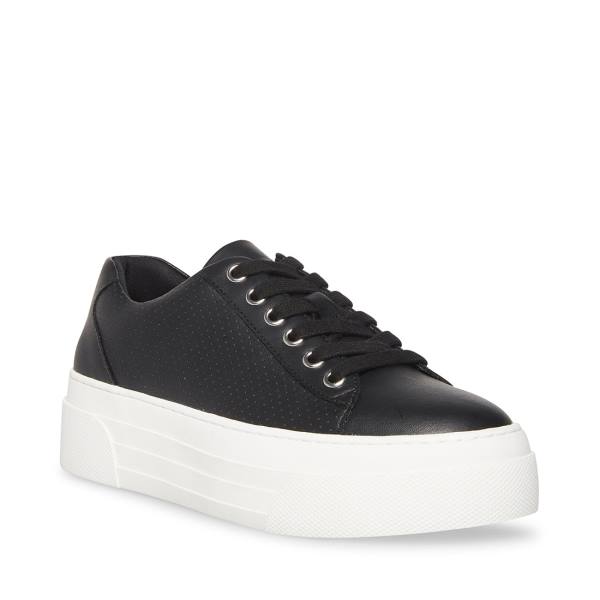 Steve Madden Studio Sneakers Dam Svarta | SM-581VJ