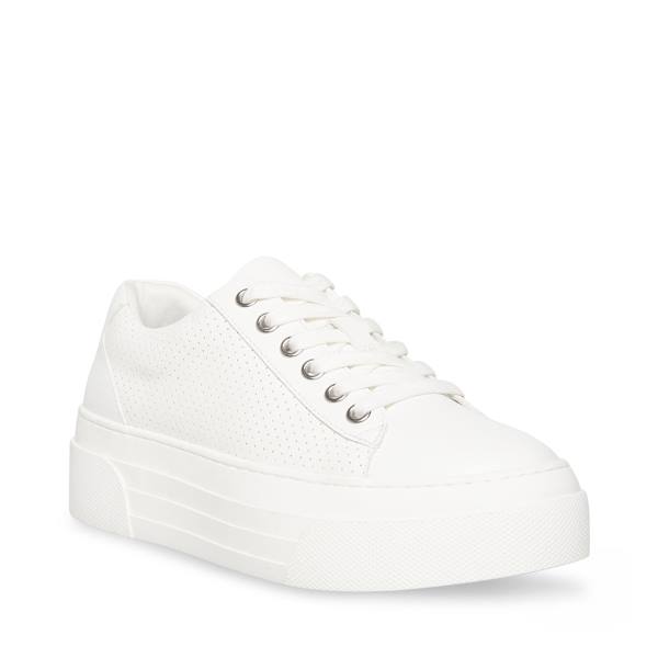 Steve Madden Studio Sneakers Dam Vita | SM-864WQ