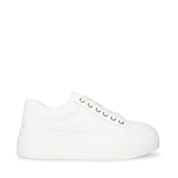 Steve Madden Studio Sneakers Dam Vita | SM-864WQ