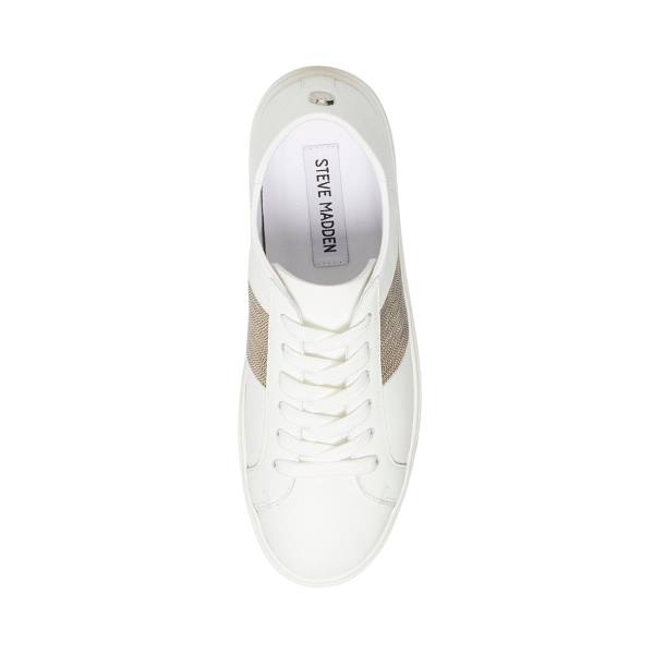 Steve Madden Swept Sneakers Dam Vita | SM-504KH