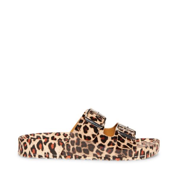 Steve Madden Teddy-t Leopard Sandaler Dam Leopard | SM-938DE