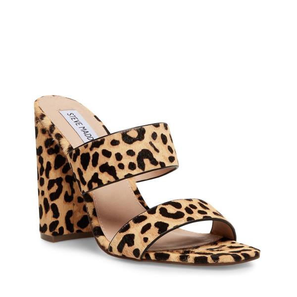 Steve Madden Tegan-l Leopard Heel Högklackade Skor Dam Leopard | SM-257EQ