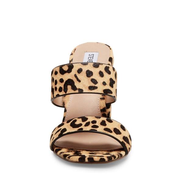 Steve Madden Tegan-l Leopard Heel Högklackade Skor Dam Leopard | SM-257EQ