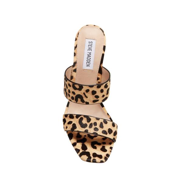 Steve Madden Tegan-l Leopard Heel Högklackade Skor Dam Leopard | SM-257EQ