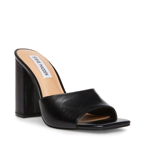 Steve Madden Trendy Läder Heel Högklackade Skor Dam Svarta | SM-315NI