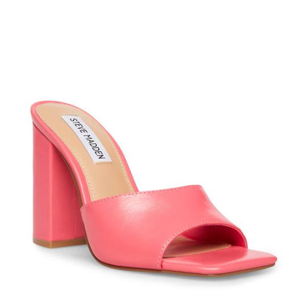 Steve Madden Trendy Läder Heel Högklackade Skor Dam Rosa | SM-890RA