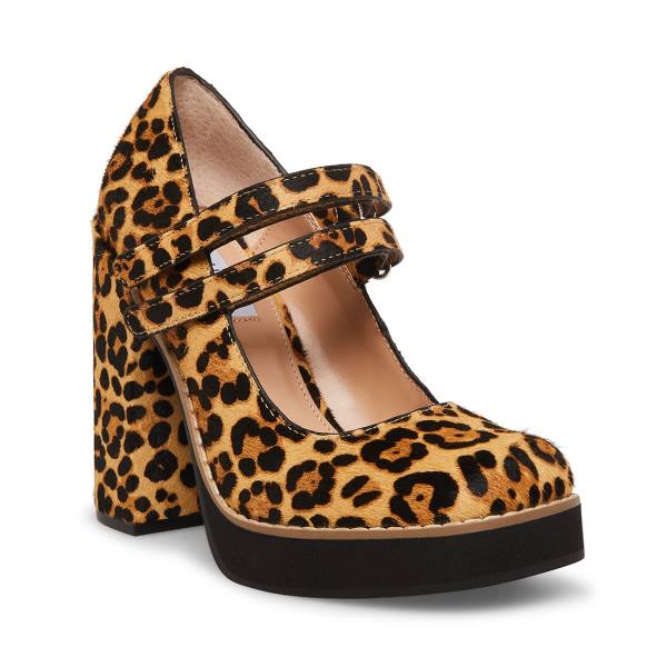 Steve Madden Twice-p Leopard Heel Högklackade Skor Dam Leopard | SM-748NH