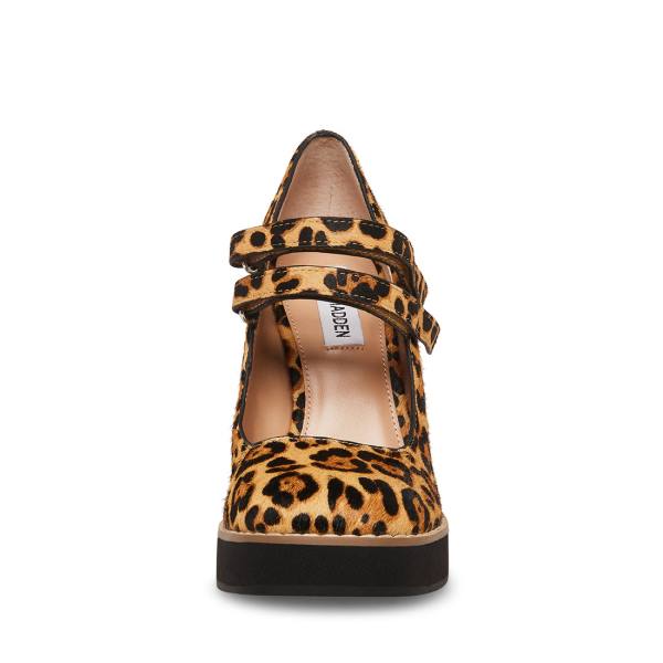 Steve Madden Twice-p Leopard Heel Högklackade Skor Dam Leopard | SM-748NH