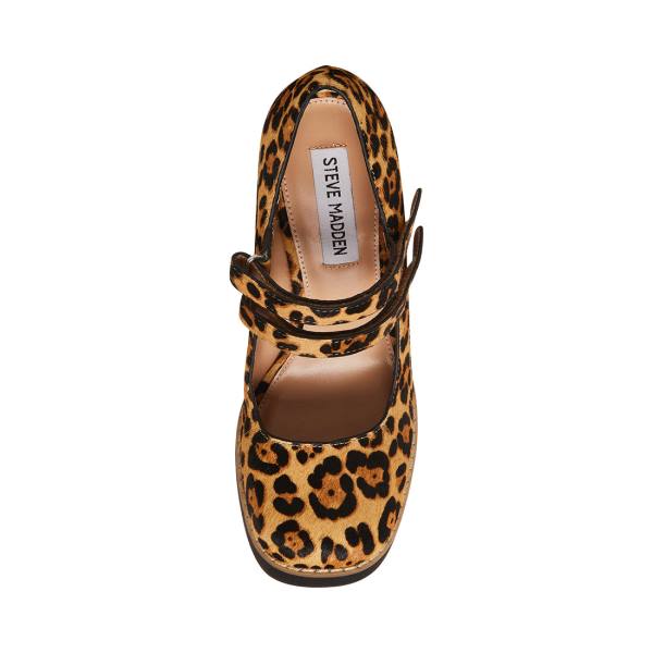 Steve Madden Twice-p Leopard Heel Högklackade Skor Dam Leopard | SM-748NH