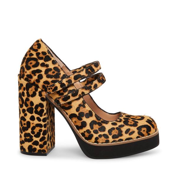 Steve Madden Twice-p Leopard Heel Högklackade Skor Dam Leopard | SM-748NH