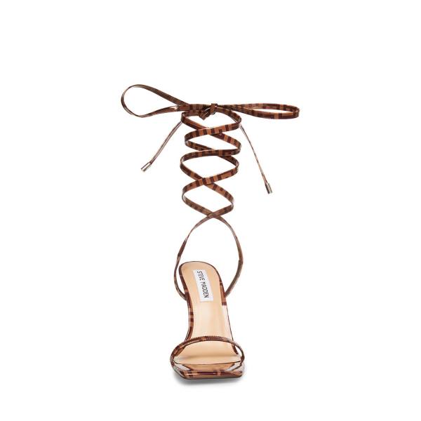 Steve Madden Uplift Camel Heel Högklackade Skor Dam Bruna | SM-429HX