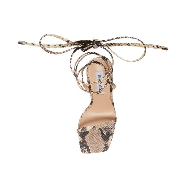 Steve Madden Uplift Natural Snake Heel Högklackade Skor Dam Beige Ormskinn | SM-974DM