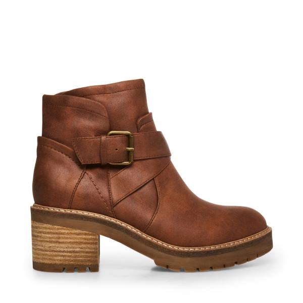 Steve Madden Vanessah Cognac Kängor Dam Bruna | SM-217BJ