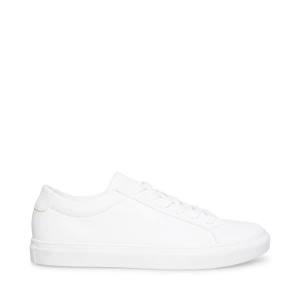 Steve Madden Bolo Sneakers Herr Vita | SM-378SJ