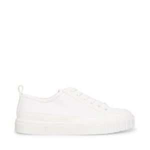 Steve Madden Caleb Sneakers Dam Vita | SM-904YL