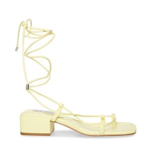 Steve Madden Claremont Sandaler Dam Gula | SM-598HU