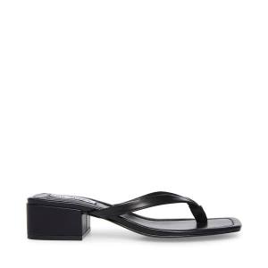 Steve Madden Claudette Sandaler Dam Svarta | SM-409HJ