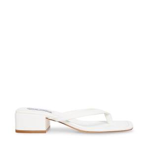 Steve Madden Claudette Sandaler Dam Vita | SM-140BC