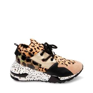 Steve Madden Cliff Sneakers Dam Leopard | SM-045JH