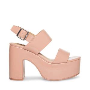 Steve Madden Dafne Lack Heel Högklackade Skor Dam Rosa | SM-601BV