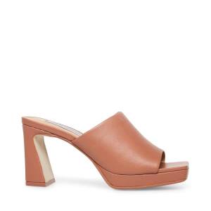 Steve Madden Dedicate Blush Läder Heel Högklackade Skor Dam Rosa | SM-479TV