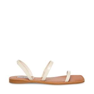 Steve Madden Direct Bone Lack Sandaler Dam Beige | SM-569BQ