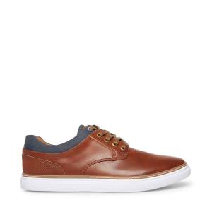 Steve Madden Gully Tan Läder Sneakers Herr Bruna | SM-018ZQ