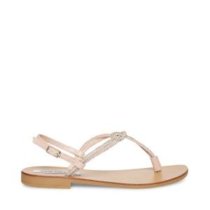 Steve Madden Judy Sandaler Dam Diamond | SM-329UC