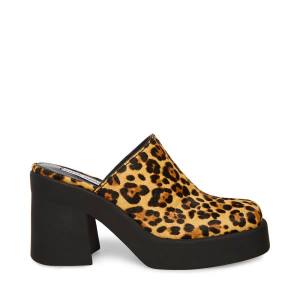 Steve Madden Kam Leopard Heel Högklackade Skor Dam Leopard | SM-250TE