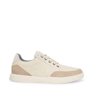 Steve Madden Karos Sneakers Herr Grå Olika Färger | SM-594CY