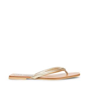 Steve Madden Lighthouse Sandaler Dam Guld | SM-690MR