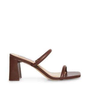 Steve Madden Lilah Heel Högklackade Skor Dam Bruna | SM-532NL