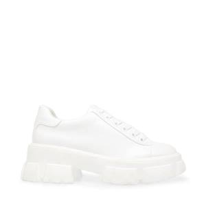 Steve Madden Michigan Sneakers Dam Vita | SM-824IK