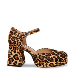 Steve Madden Mimi-l Leopard Heel Högklackade Skor Dam Leopard | SM-549KV