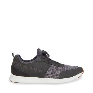 Steve Madden P-stevy Charcoal Sneakers Herr Grå | SM-047MR