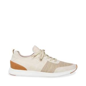 Steve Madden P-stevy Sand Sneakers Herr Bruna | SM-179IG