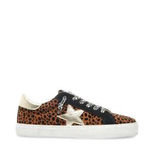 Steve Madden Philosophy Leopard Sneakers Dam Leopard Olika Färger | SM-576YS