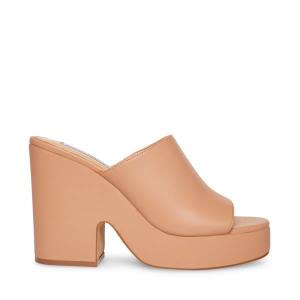 Steve Madden Sally Tan Heel Högklackade Skor Dam Mörkbruna | SM-358GO